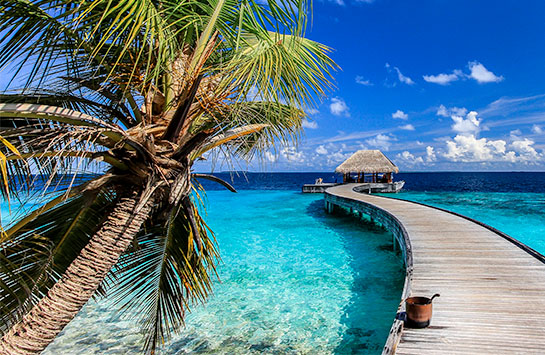  Imagen del destino Maldivas