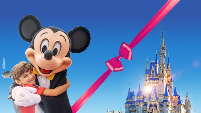 Holidays to Walt Disney World