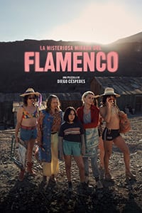 La misteriosa mirada del flamenco