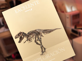 revista Excelente Excelente, la revista de la nostra classe Business.