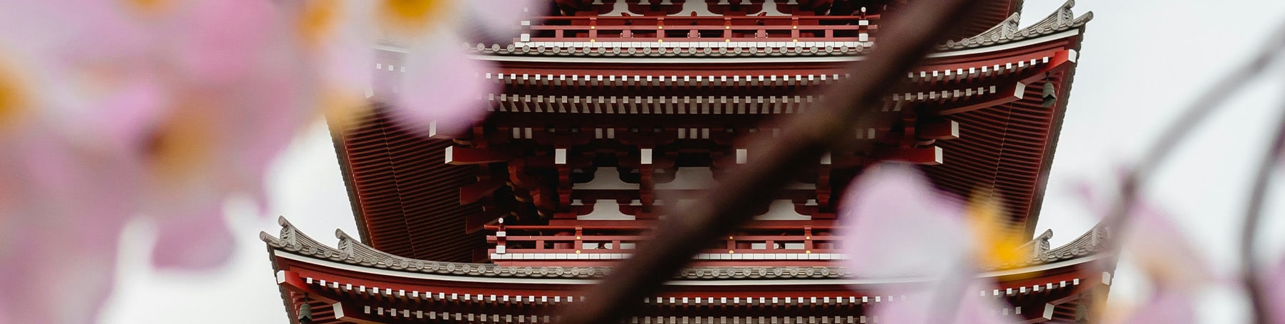 Japón