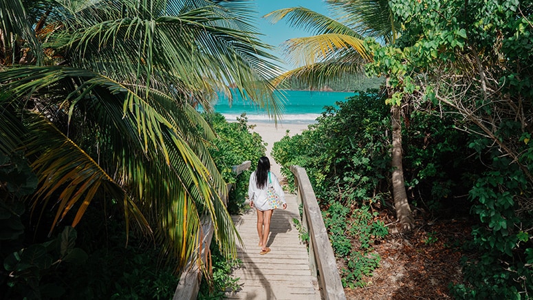 Esnórquel en Puerto Rico