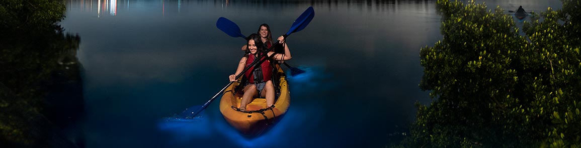 Bahías bioluminiscentes de Puerto Rico