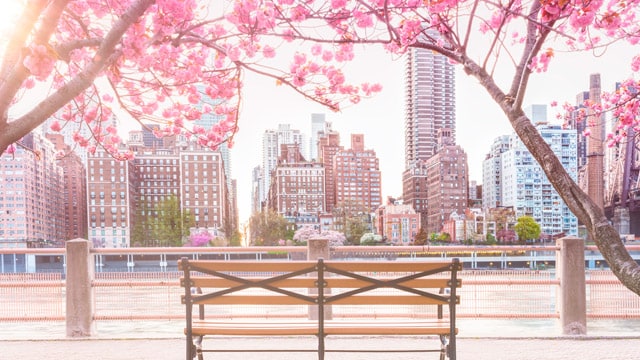 Viaja a Nueva York en primavera