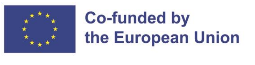 Image montrant le drapeau de l’Union européenne et le texte 'Cofinanciado por la Unión Europea'
